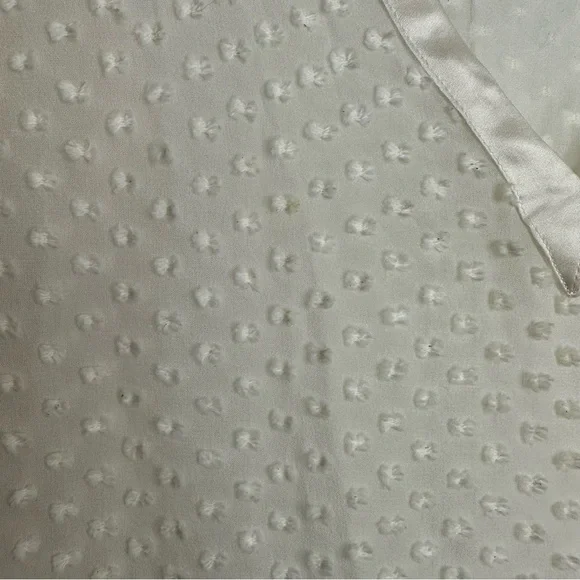 Beyond Vintage Swiss Dot V-Neck Long Sleeve Sheer Silk Top in White - Small - Picture 14 of 16